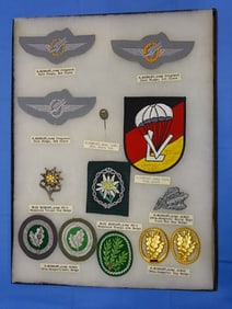 Airborne Paratrooper Wings, Patch Insignia Lot, WEST GERMAN