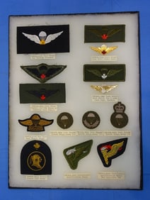 Airborne Paratrooper Wings, Patch Insignia Lot, CANADA