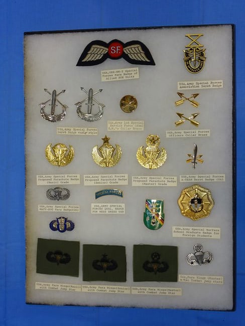 Airborne Paratrooper Special Forces Wings, Patch Insignia Lot, UNITED STATES: LARGE COLLECTION OF AIRBORNE PARATROOPER INSIGNIA, YOU WILL RECEIVE THE EXACT ITEMS SHOWN IN THE CASE, INCLUDING THE DESCRIPTIONS. THE RIKER MOUNT CASE IS NOT INCLUDED.