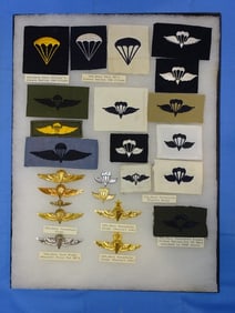 Airborne Paratrooper Special Forces Wings, Patch Insignia Lot, USN