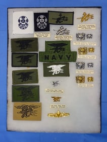 Special Forces Wings, Patch, Badge, Insignia Lot, USN SEALS UDT