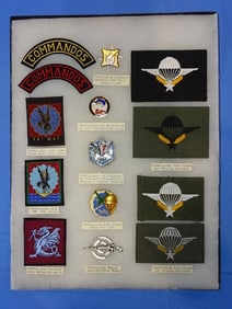 Airborne Paratrooper Wings, Patch Insignia Lot, FRANCE, FRENCH