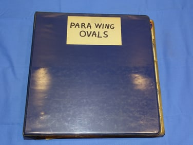 WWII - Vietnam War Era Airborne Paratrooper Wing Background Oval Patch Lot, 290 pcs