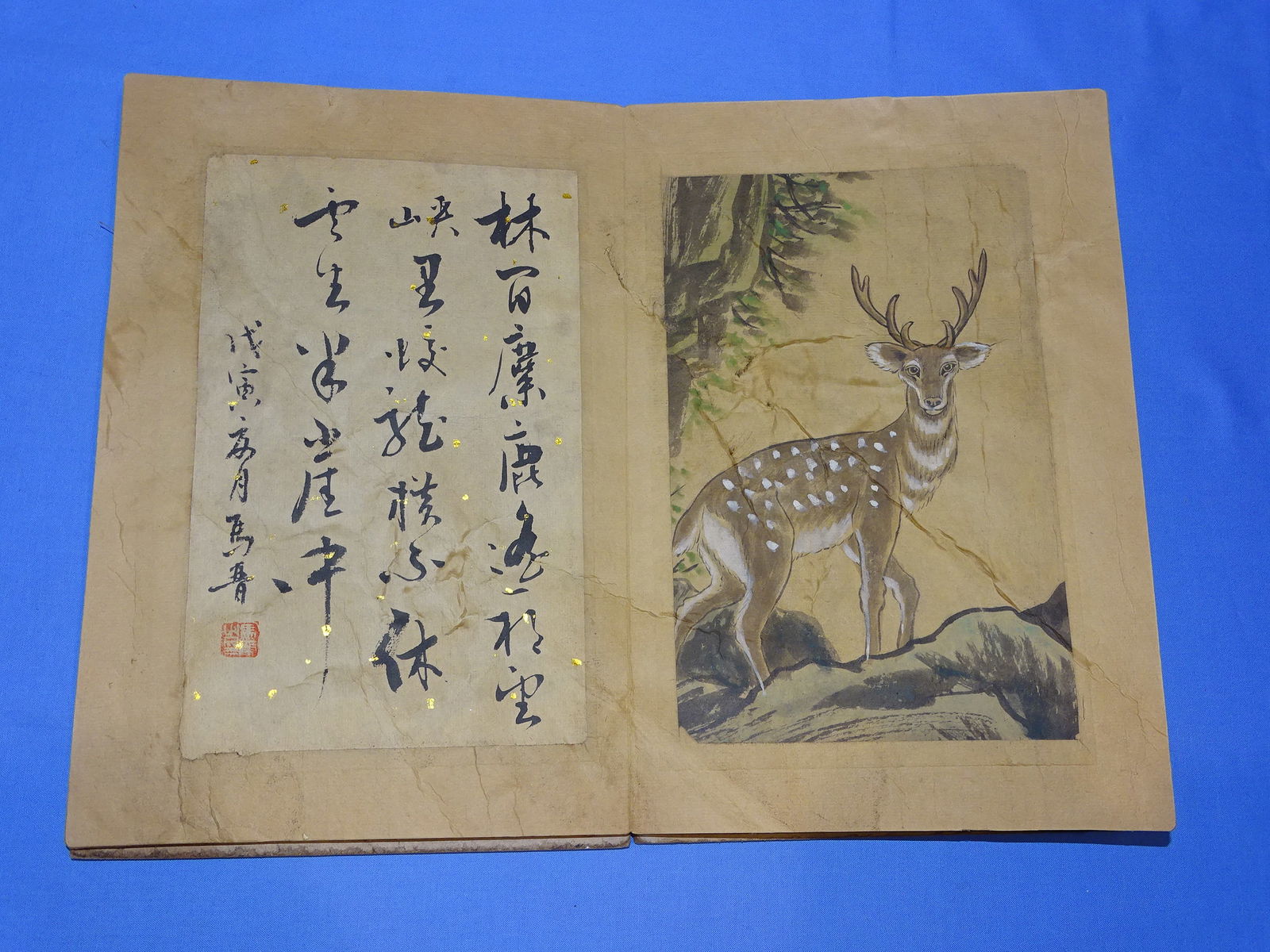 Chinese Painting, Folding Album of Deer