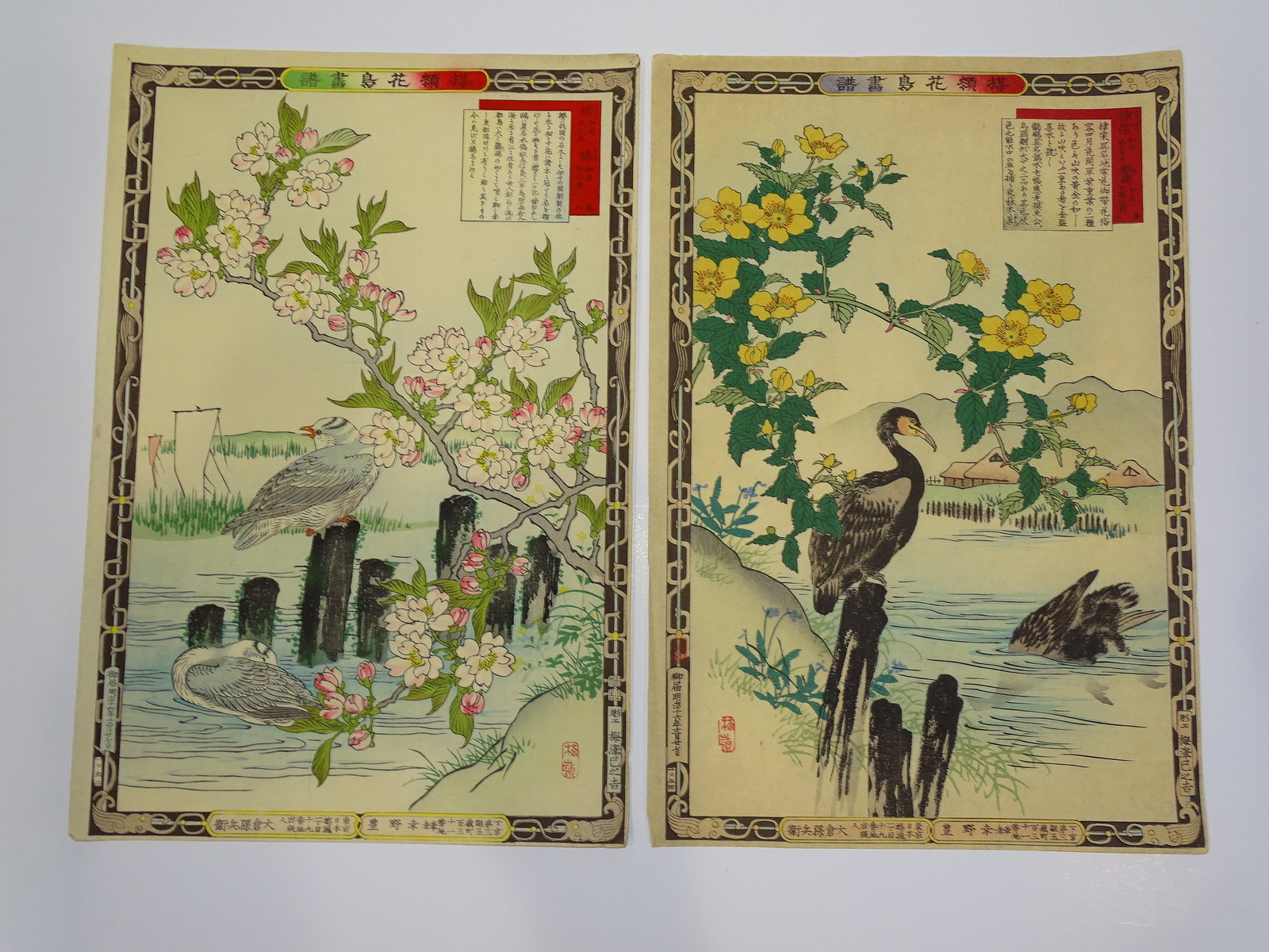 Japanese Woodblock Print, KONO BAIREI Kacho-e Bird & Flower Series 1880's Pair (1 of 6)