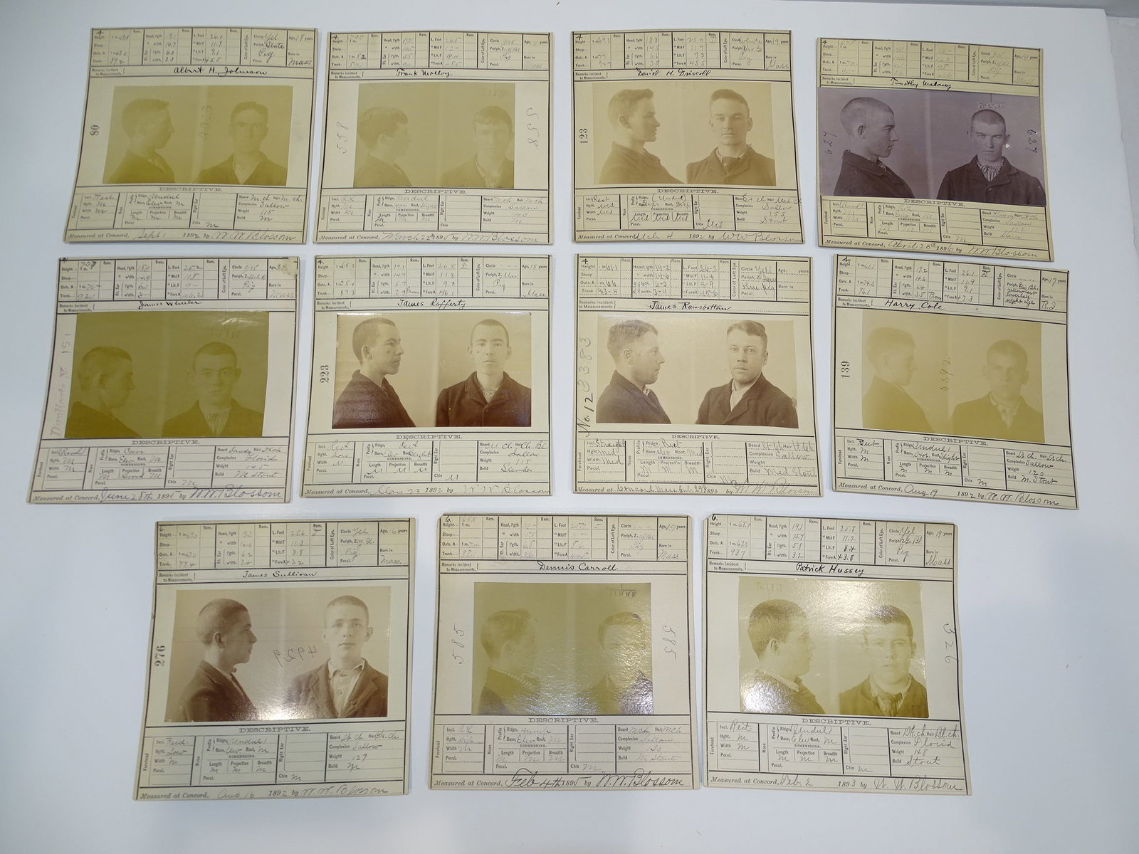 Bertillon Mug Shot, Crime Photo, Wanted Poster, Criminal Prisoner ID Card LOT: NICE LOT OF OLD CRIMINAL MUG SHOT PHOTO CARDS. THEY MEASURE APPROX. 6" SQUARE.