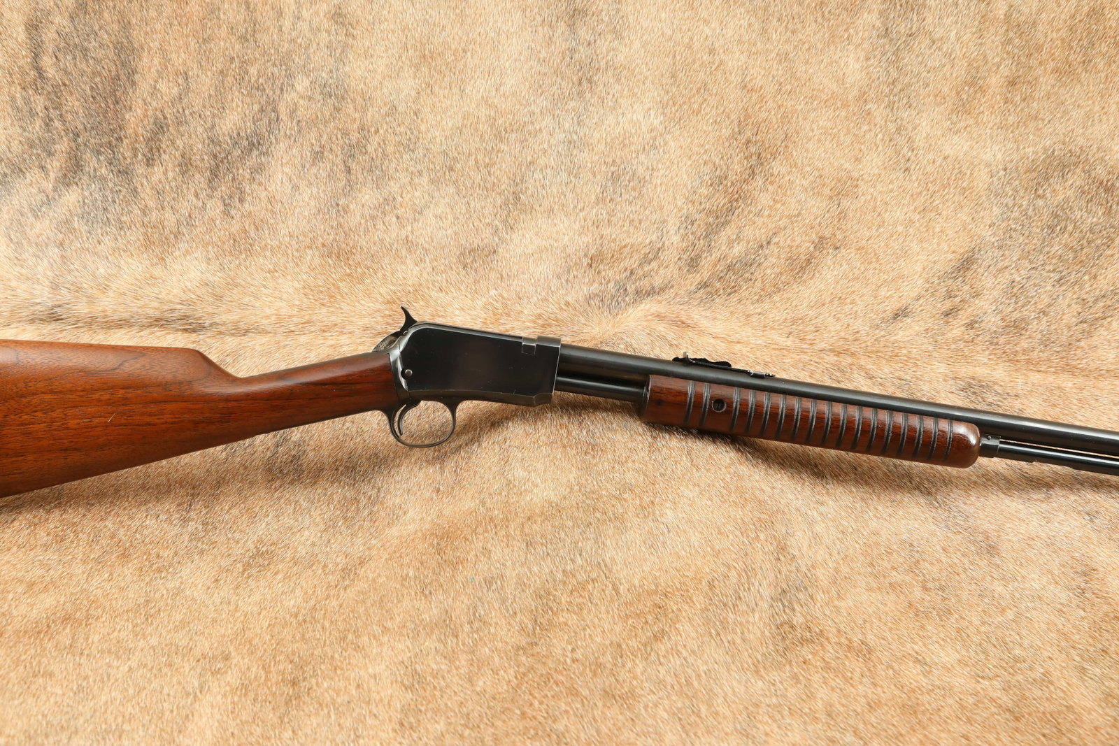 Pre-64 Winchester Model 62A .22 Short, Long Rifle S/L/LR 23” Pump Action Rifle, 1951 C&R: Make: Winchester Model: 62A Serial Number: 299652 Year of Manufacture: 1951 Caliber: .22 Short, Long or Long Rifle Action Type: Pump Action with Three Quarters Length Tubular Magazine and Takedown Rec