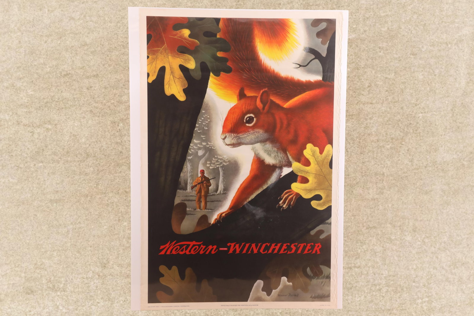 Vintage 1955 Western Winchester Weimer Pursell Squirrel Hunting 42" x 28" Advertising Poster (1 of 7)