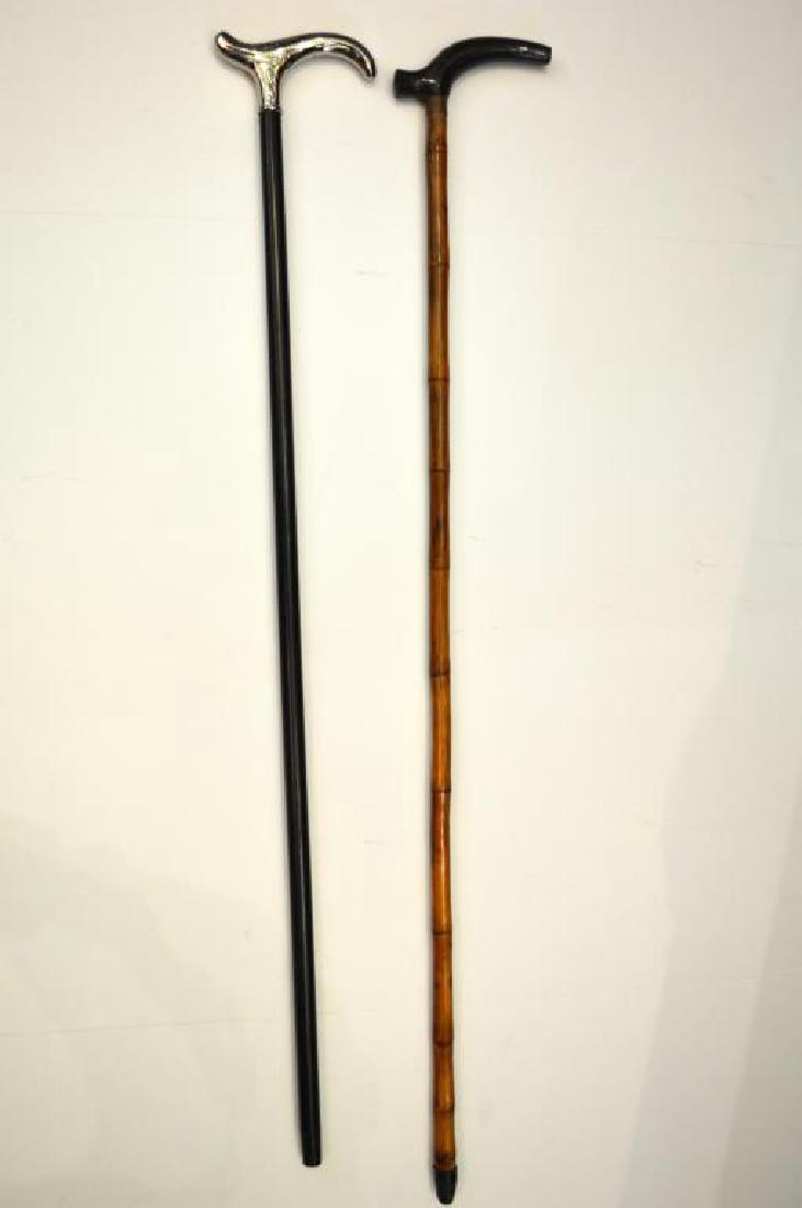 Two Bamboo Canes with Horn Handles (1 of 3)