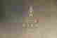 item-57211184=11