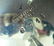 4 pc. Odiot French Sterling Silver Tea/Coffee Set - 9