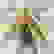 item-63099709=3