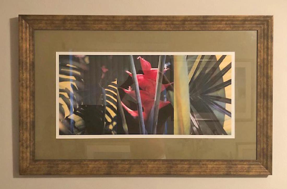 CAROL BERGMAN, Framed Giclee S/N Photography Print (1 of 4)