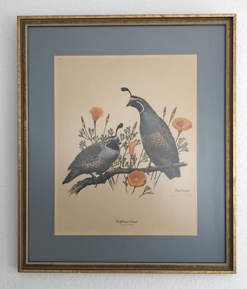 Ray Harm Vintage Signed Print California Quail (1 of 5)