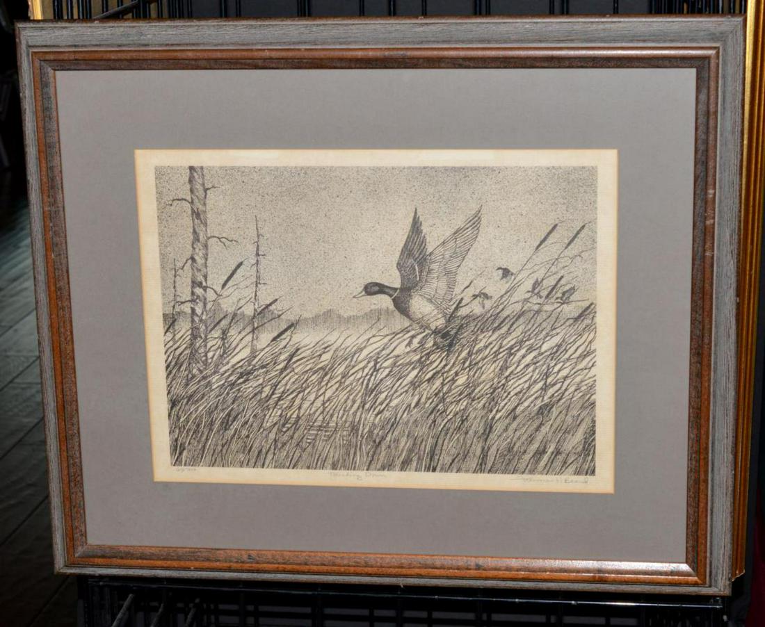 Framed Under Glass Freeman H Beard Print Touching: Framed & Matted Under Glass Freeman H. Beard Print of a Mallard Duck landing titled "Touching Down" Limited to 65/500 Signed bottom right in pencil. 18" x 13" the wood frame is 25" x 21" overall.