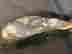 item-87088103=6
