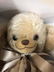 Merrythought Teddy Bear Hand Crafted in England - 4