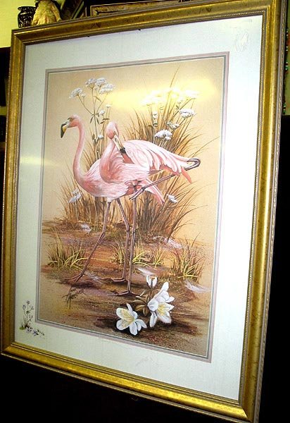 Flamingo print framed
