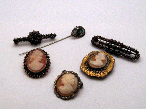 Lot of vintage cameos & Garnet pins: Lot of vintage cameos one framed with round garnets, enamel and hematite and 2 garnet bar pins .