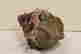 item-121093024=2