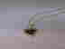 item-8915163=2