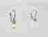 item-129329169=2