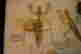 item-129329331=2