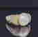 item-129329481=3