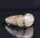 item-129329481=4