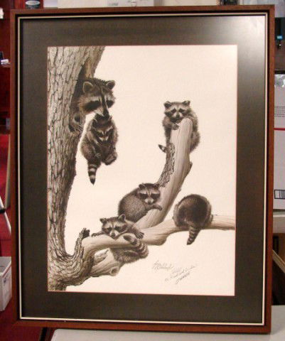 Framed Signed Guy Coheleach Print of Racoon Family: Framed under non-glare glass Signed Guy Coheleach Print of Racoon Family, dedicated to "Fred & Linda", 24" x 30"