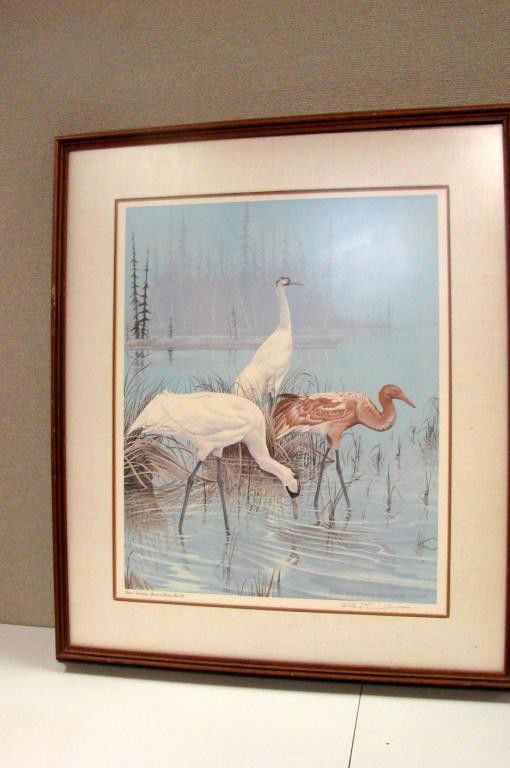 Richard Evans Younger Framed Signed Print: Richard Evans Younger Framed Signed Print, 28" x 24", from Series 1 Vanishing Species of Birds, Plate VII.