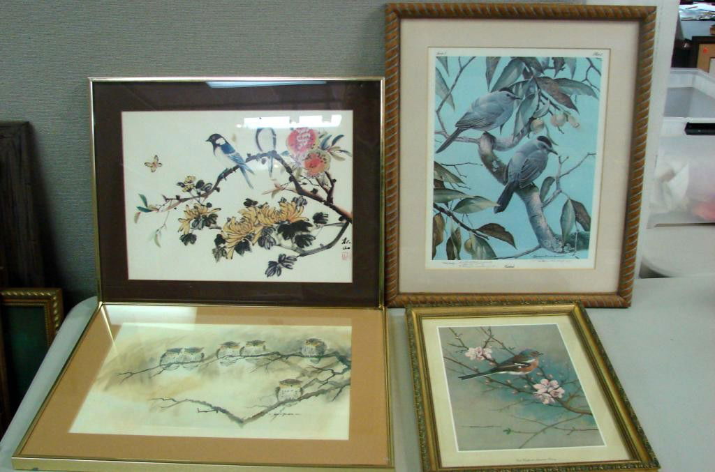 3 Prints & watercolor of Birds Richard E. Younger: 3 prints of Birds incl. a signed Richard Evans Younger, a Cock Chaffinch & Japanese Cherry, framed in gold wood, a print signed in Chinese, and a watercolor of 6 owls in a tree.