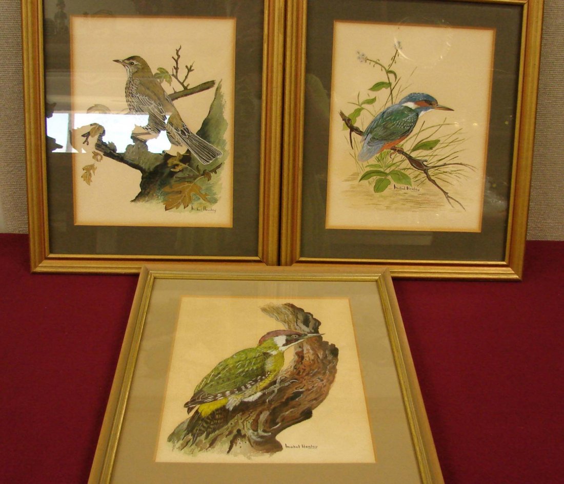 3 Original Watercolors of Birds signed Healey: 3 Framed & Matted Original watercolors of birds, two are 12" x 15.25" and one is 12.5" x 16", signed by Mabel Healey.