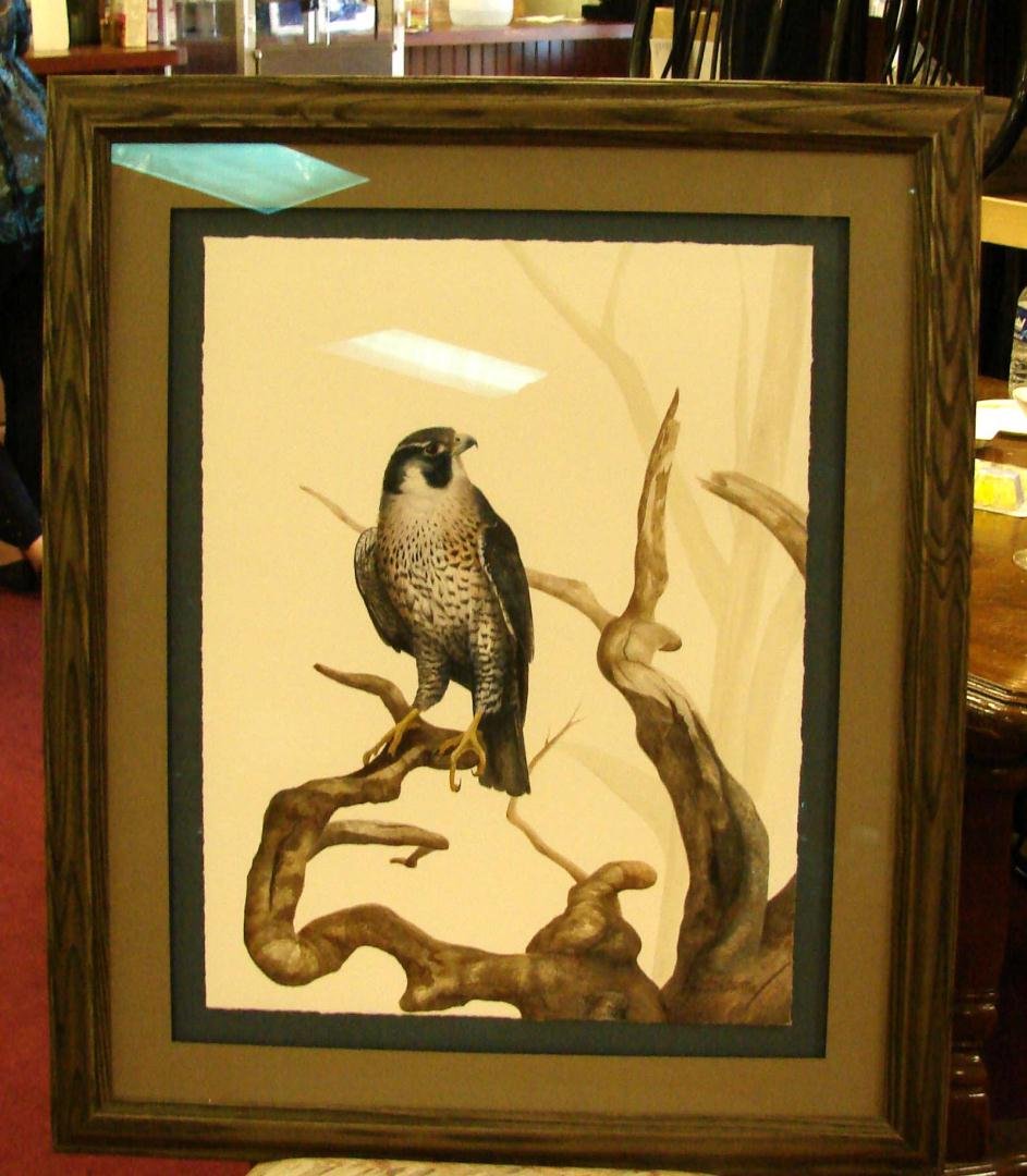 Framed Signed Print of a Falcon by Marcus Thomas: Framed Signed Print of a Falcon by Marcus Thomas. Marcus is the winner of the 2012 Christmas at Biltmore Wine Label Contest and a quadraplegic, who paints by holding the brush in his mouth.