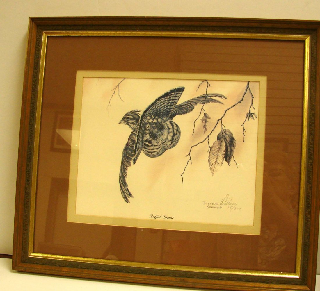 Ltd. Ed. Print of a Ruffled Grouse signed Dietmar: Ltd. Ed. Print of a Ruffled Grouse signed Dietmar, 20" x 17.5".