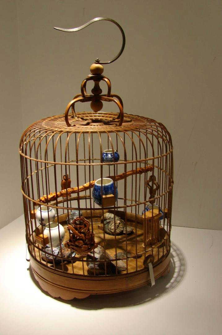 NPP & Bird Cage Economy