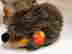 item-19149631=2