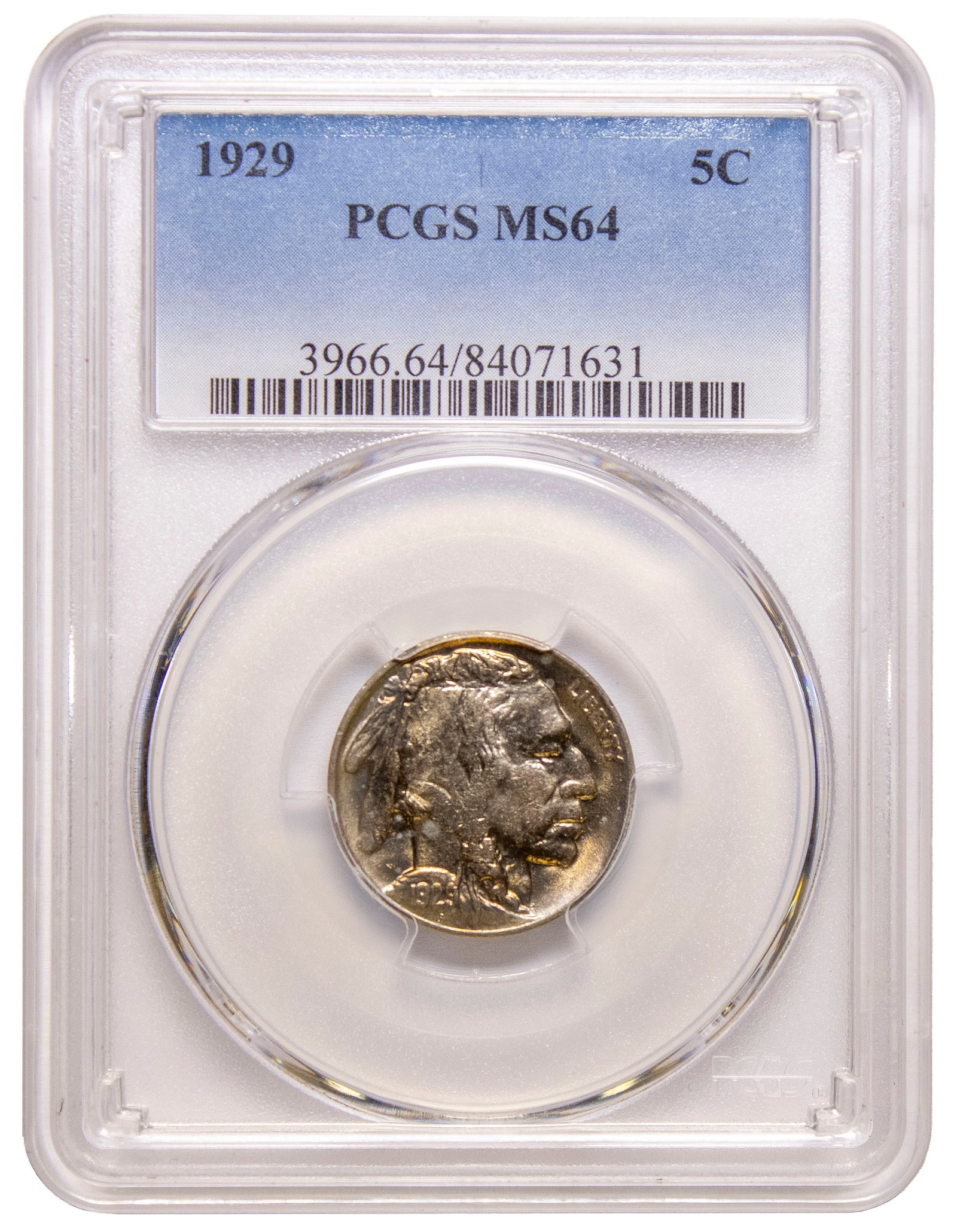A 2nd PCGS MS-64 1929 Buffalo Nickel: Brilliant and equal to many gems we've seen.