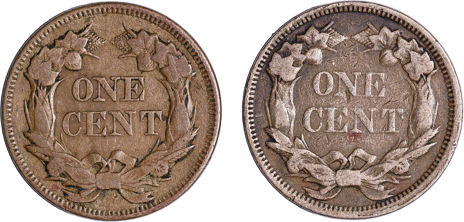 Flying Eagle Cent Pair - 2