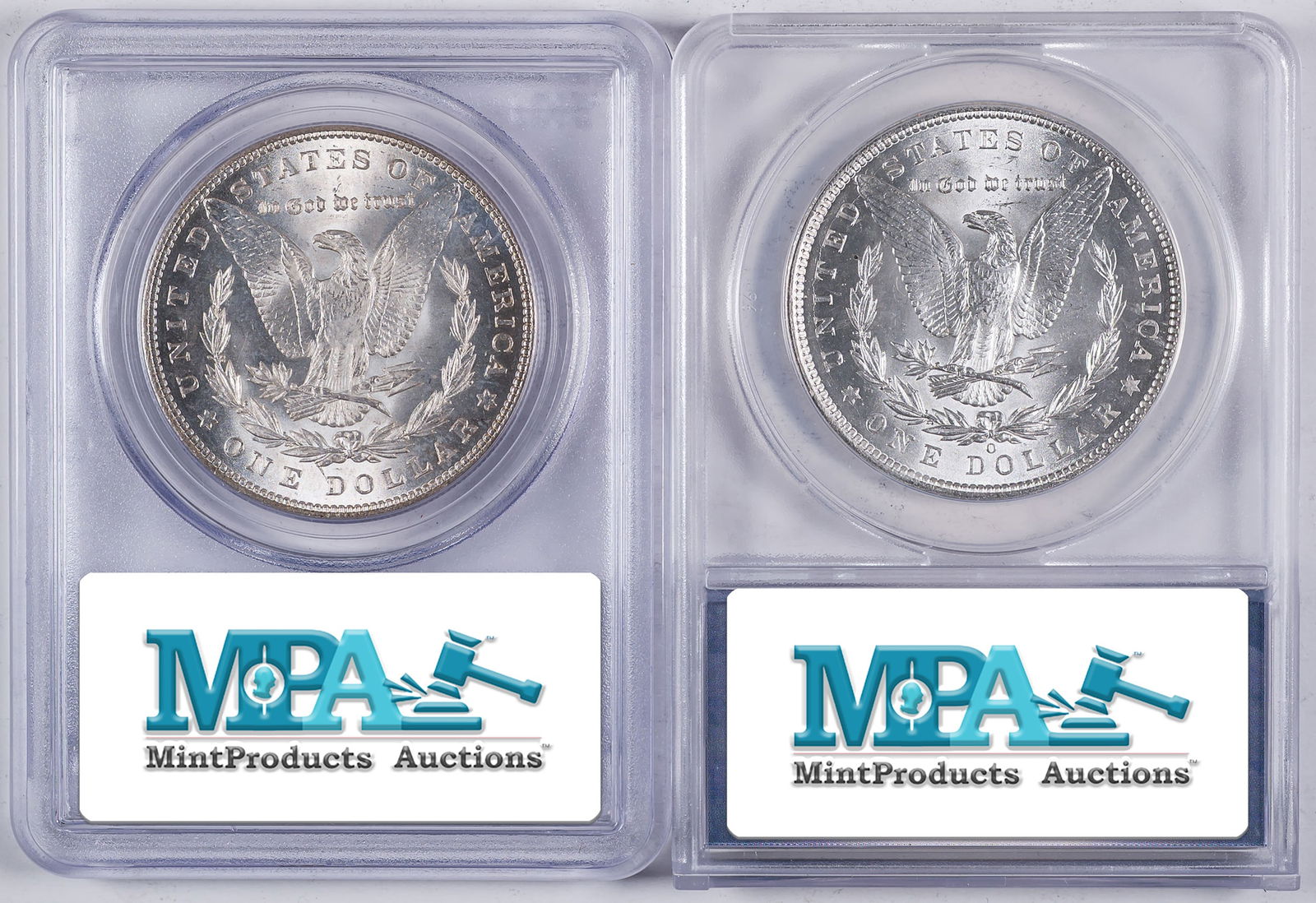 Certified Morgan Pair - 2
