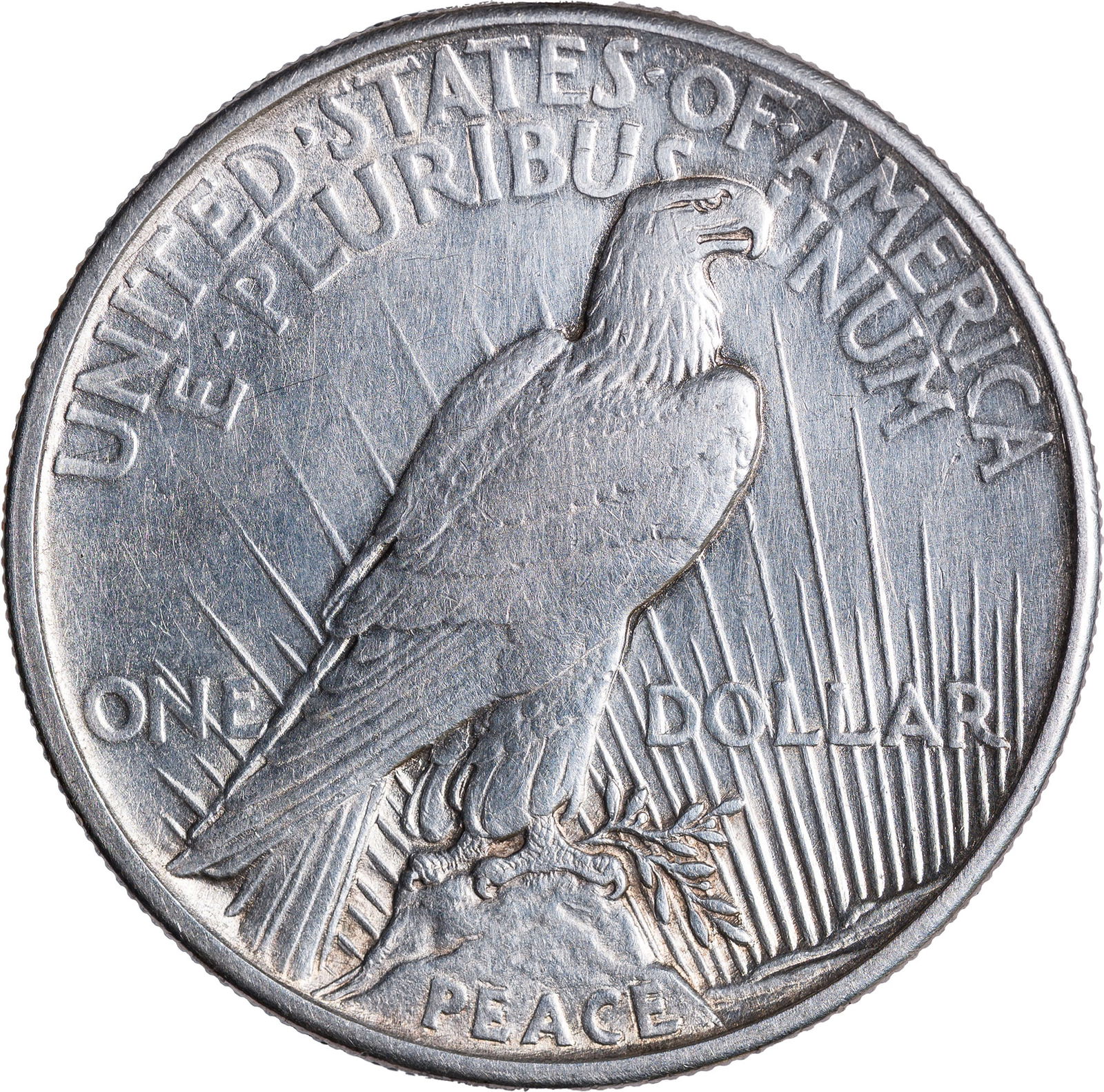 EF-45 Details 1921 Peace Dollar - 2
