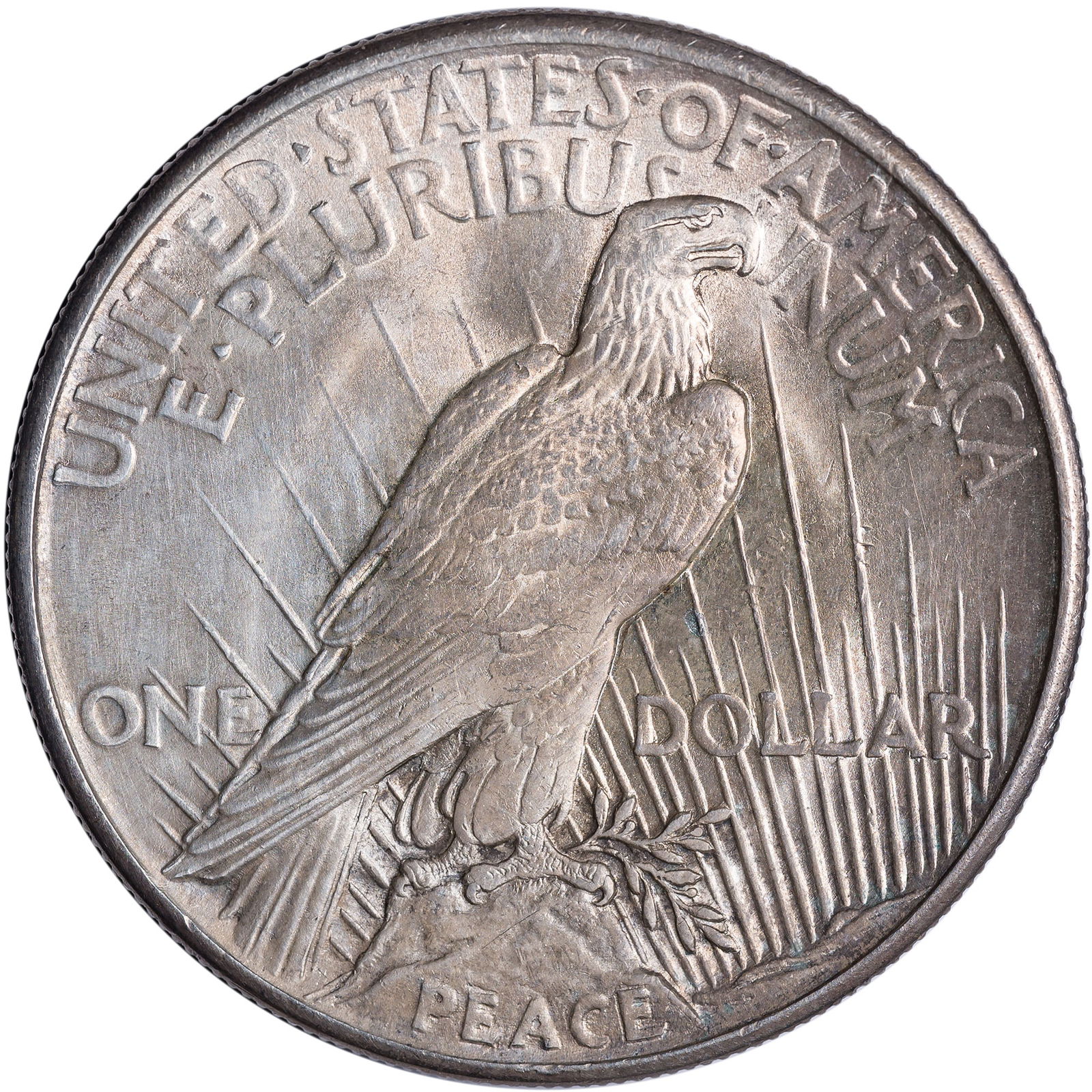 Choice BU-63 Details 1921 Peace Dollar - 2