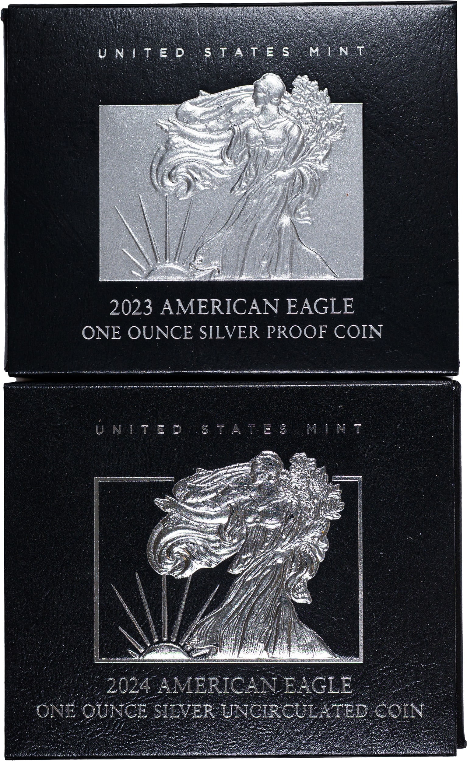 2023 & 2024 Silver Eagle Pair (1 of 1)