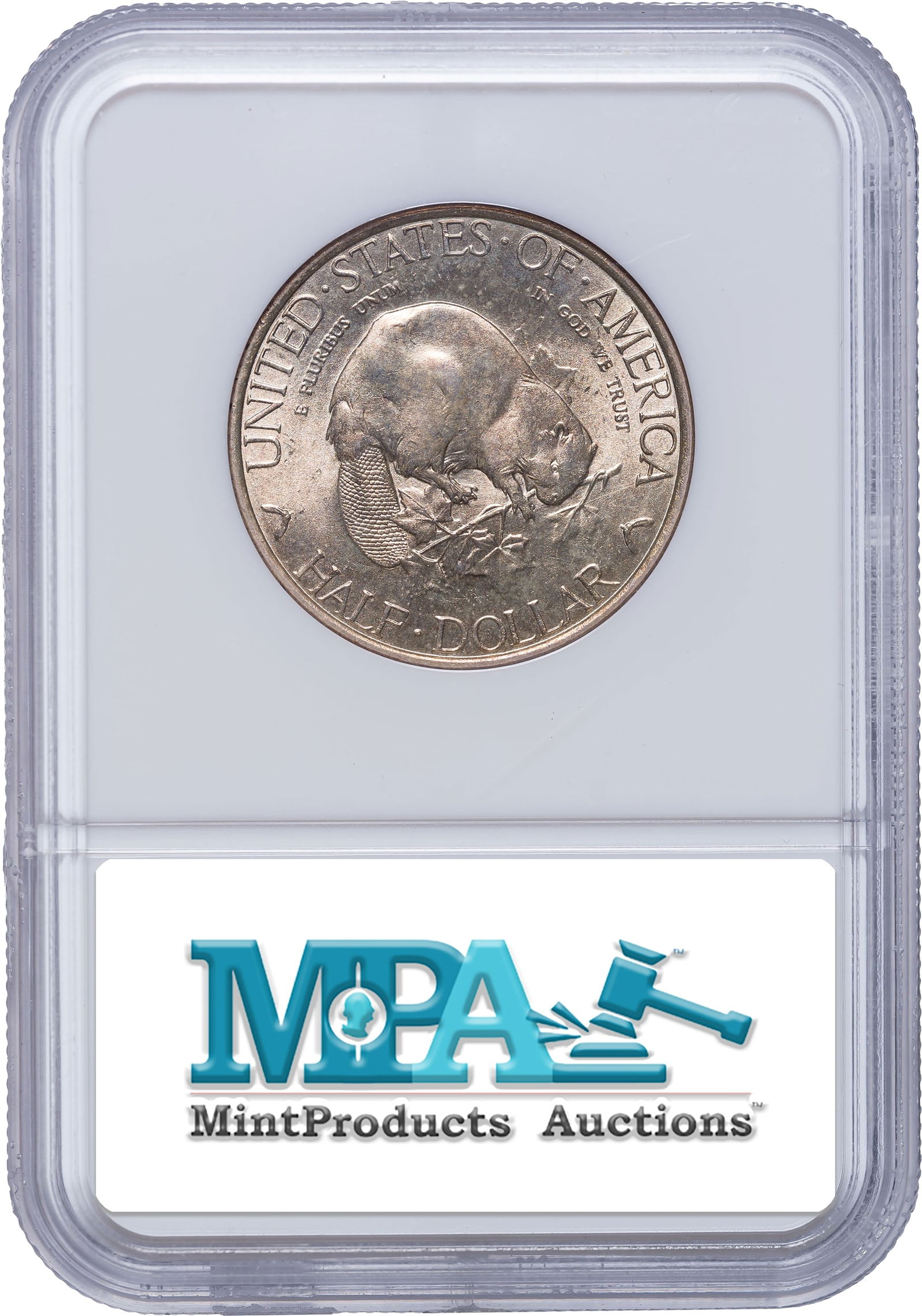 NGC MS-65 1936 Albany Half Dollar - 2