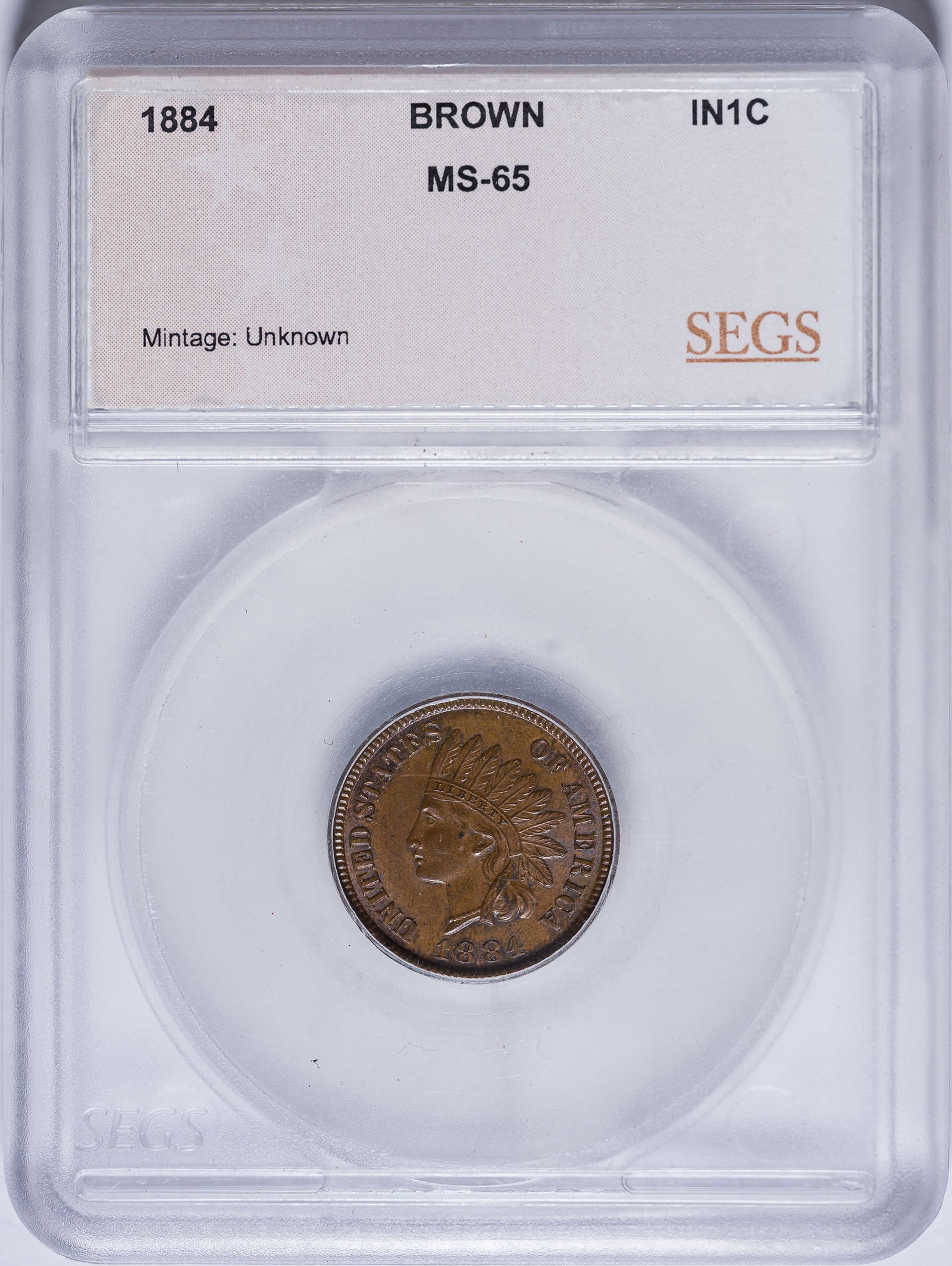 SEGS MS-65 BN 1884 Indian Cent: We suggest MS-63 BN. Glossy golden-tan surfaces.