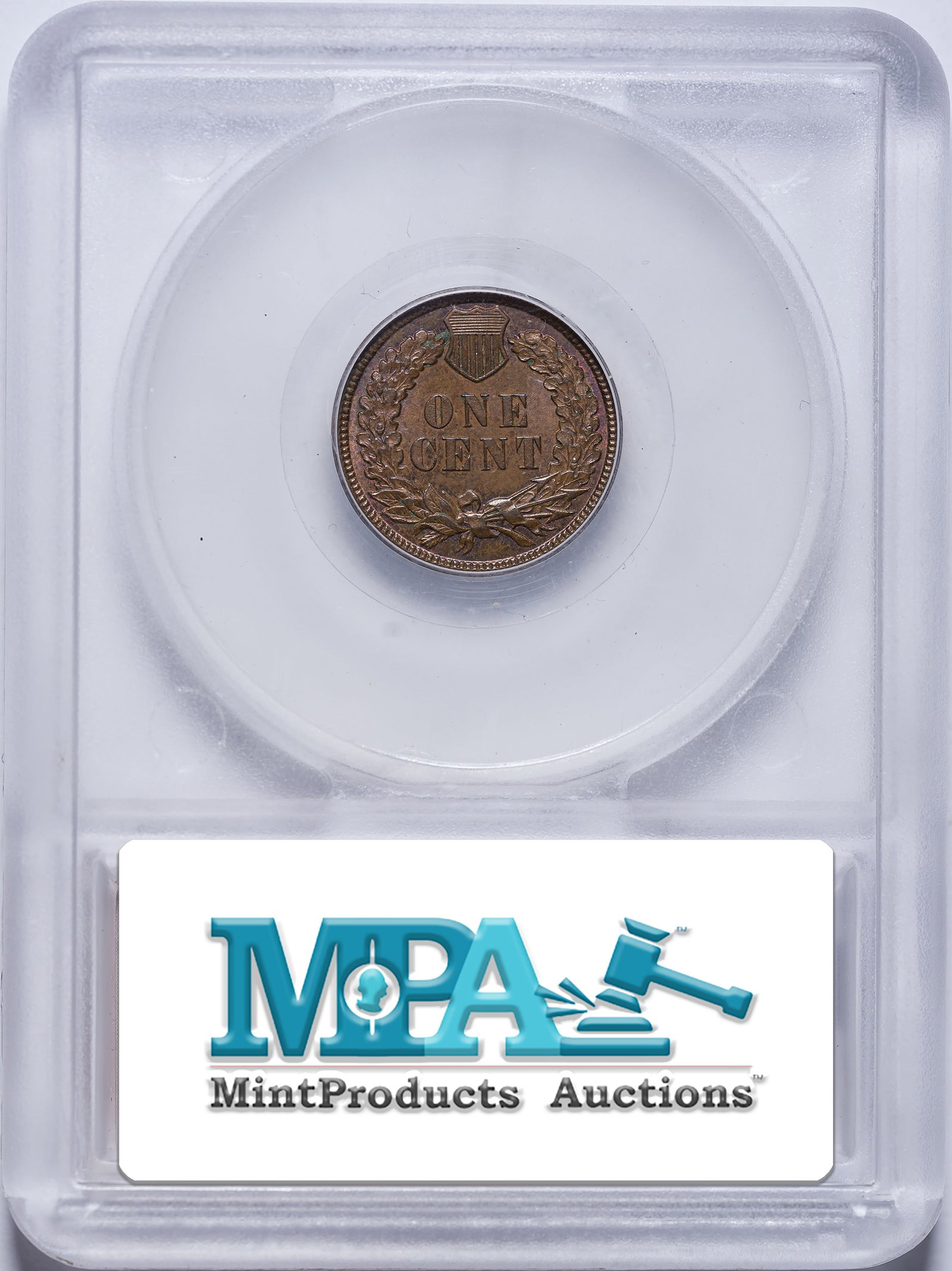 SEGS MS-65 BN 1884 Indian Cent - 2