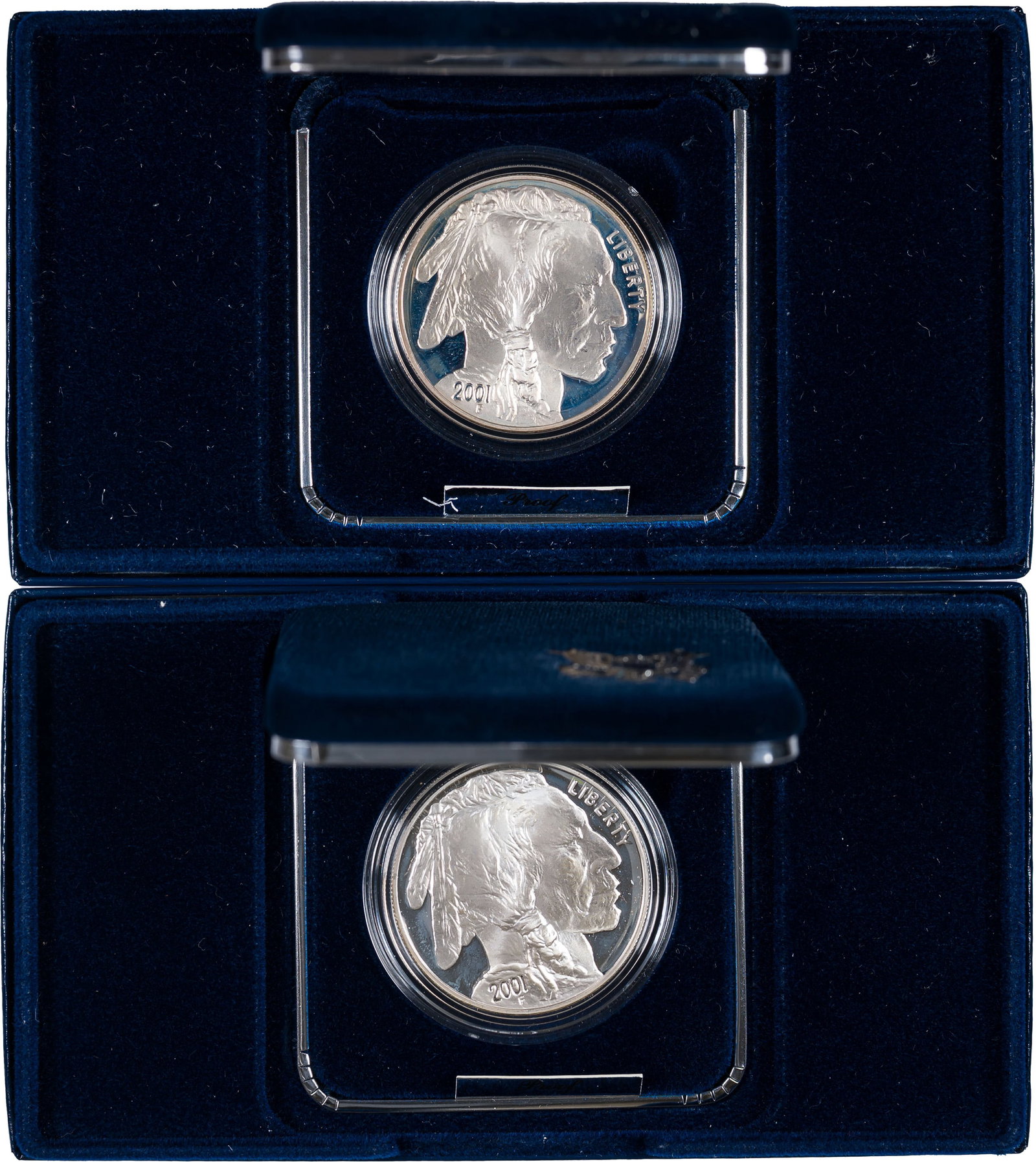 2001 Proof Buffalo Dollar Pair (1 of 1)