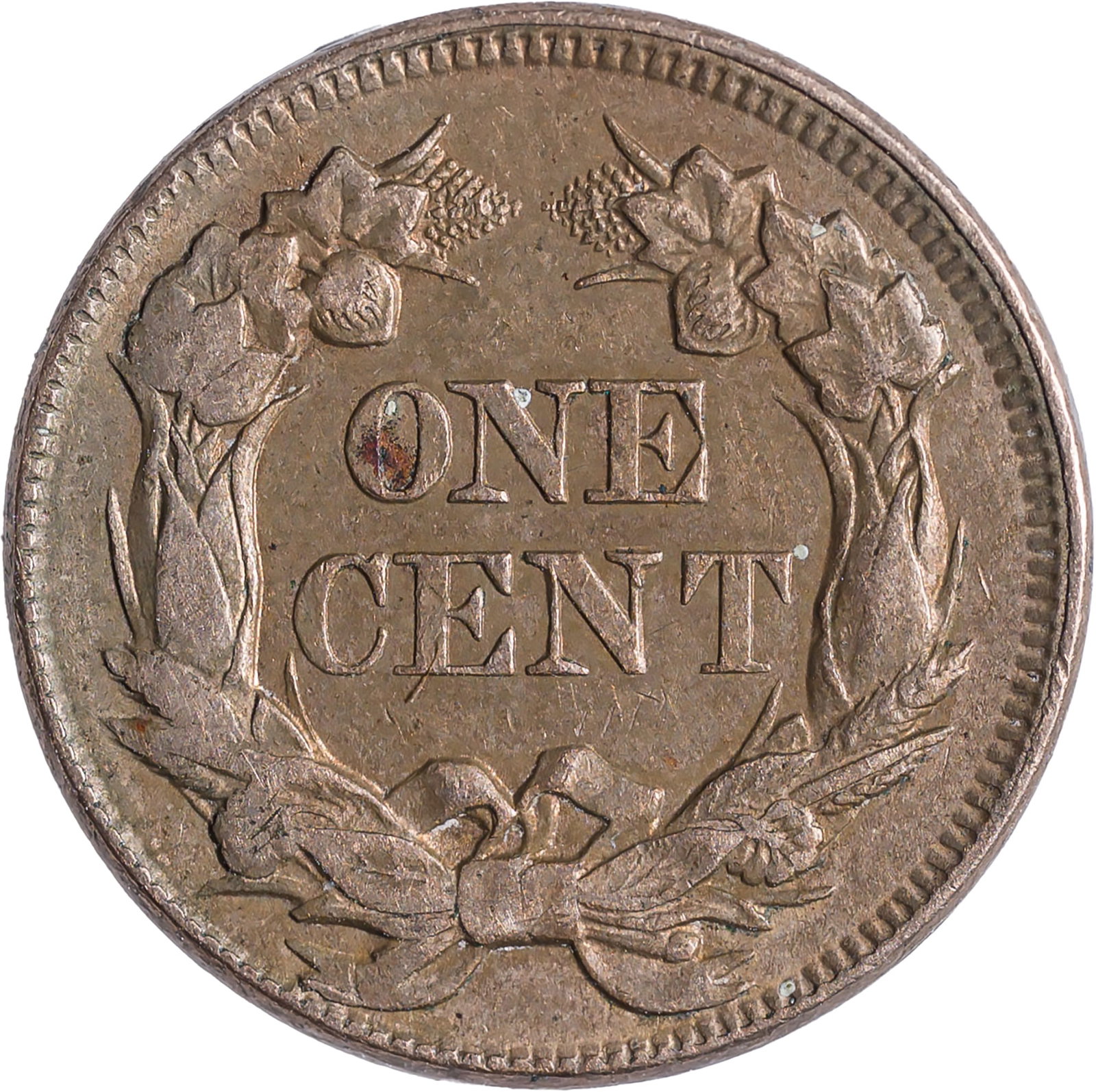 AU-50 Details 1857 Flying Eagle Cent - 2