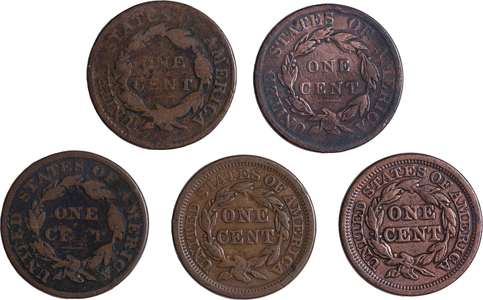 Lot of 5 Different Large Cents - 2