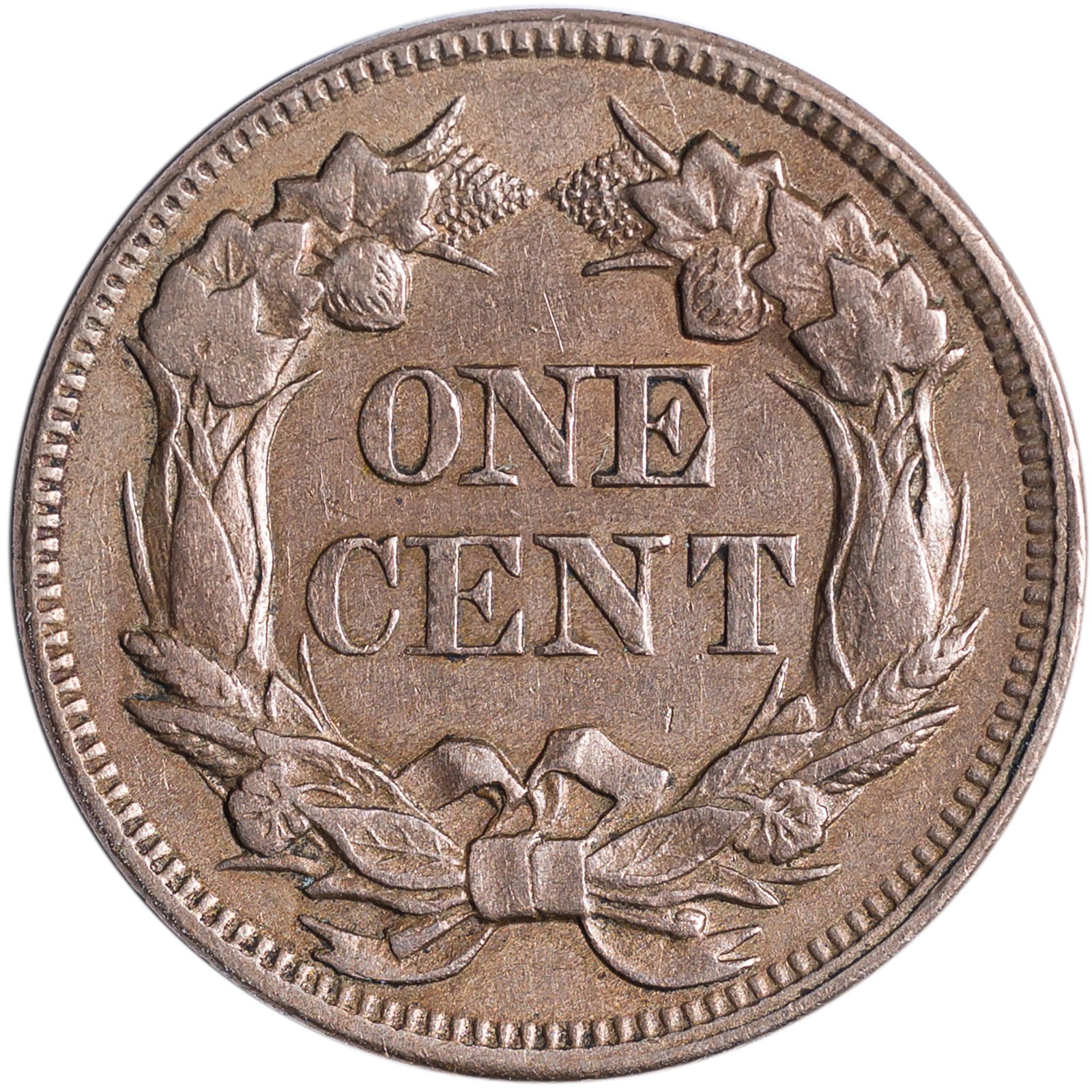 EF-45 Details 1857 Flying Eagle Cent - 2